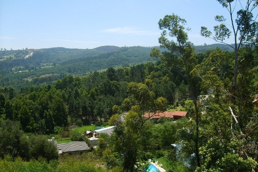 Ausblick vom Haus